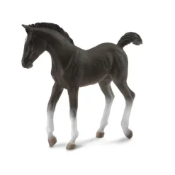 Tennessee Walking Horse Foal Black