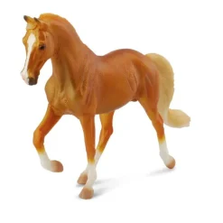Tennessee Walking Horse Stallion Golden Palomino