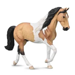 Tennessee Walking Horse Stallion - Buckskin Tobiano