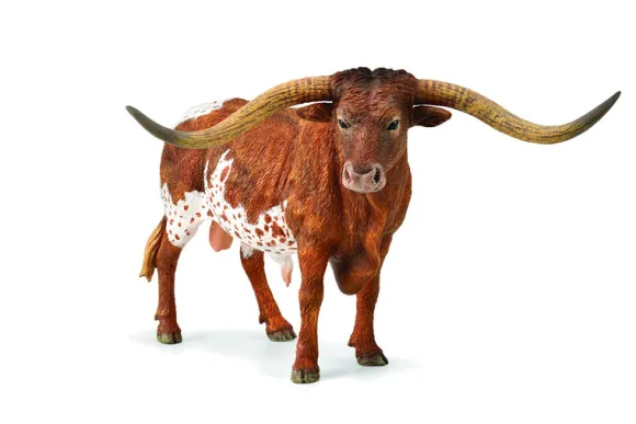 Texas Longhorn Bull