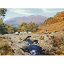 Thirsty Work - 1000 Piece Jigsaw Puzzle