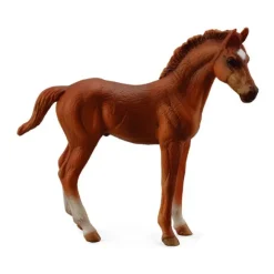 Thoroughbred Foal Standing Chestnut