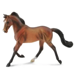 Thoroughbred Mare Bay