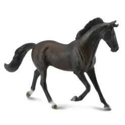 Thoroughbred Mare Black