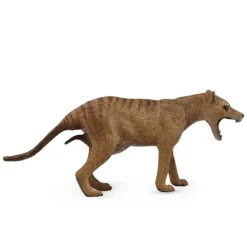 Thylacine Tasmanian Tiger Female