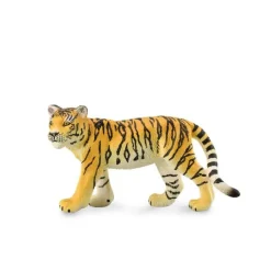 Tiger Cub Walking