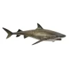 Tiger Shark
