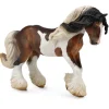 Tinker Stallion - Piebald