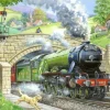 Train Spotting - BIG 250 Piece Jigsaw Puzzle