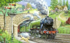 Train Spotting - BIG 250 Piece Jigsaw Puzzle