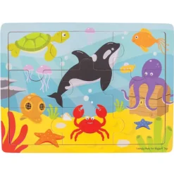 Tray Puzzle (Underwater)