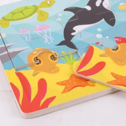 Tray Puzzle (Underwater)