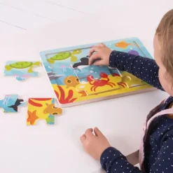 Tray Puzzle (Underwater)