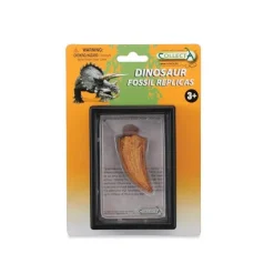 T-Rex Side Tooth In Display Case