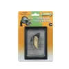 T-Rex Tooth In Display Case