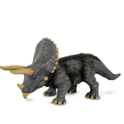 Triceratops