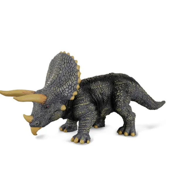 Triceratops