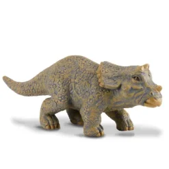 Triceratops Baby