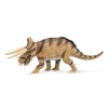 Triceratops horridus - confronting