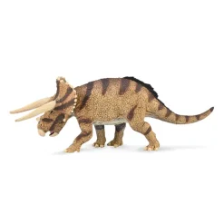 Triceratops horridus - confronting