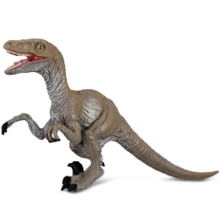 Velociraptor