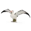 Wandering Albatross