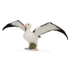 Wandering Albatross