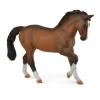 Warmblood Stallion - Bay