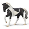 Warmblood Stallion - Black Tobiano