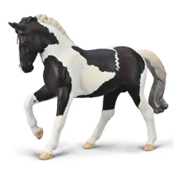 Warmblood Stallion - Black Tobiano