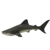 Whale Shark