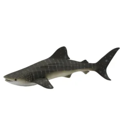 Whale Shark