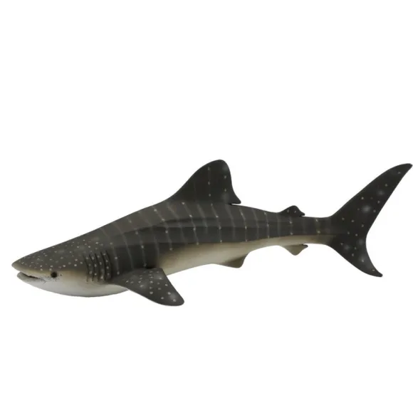 Whale Shark