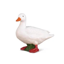 White Duck