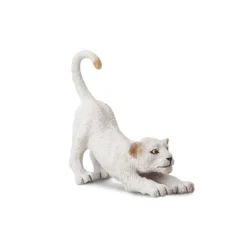White Lion Cub Stretching