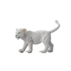 White Lion Cub Walking