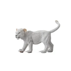 White Lion Cub Walking