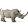 White Rhinoceros