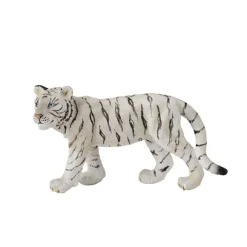 White Tiger Cub Walking