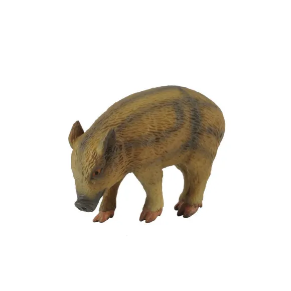 Wild Piglet Eating