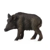Wild Sow