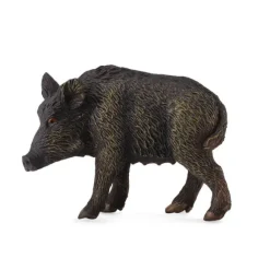 Wild Sow