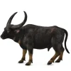 Wild Water Buffalo