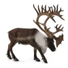 Woodland Caribou