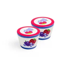 Yoghurt (Pack of 2)