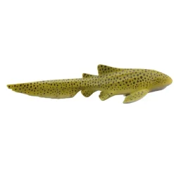 Zebra Shark